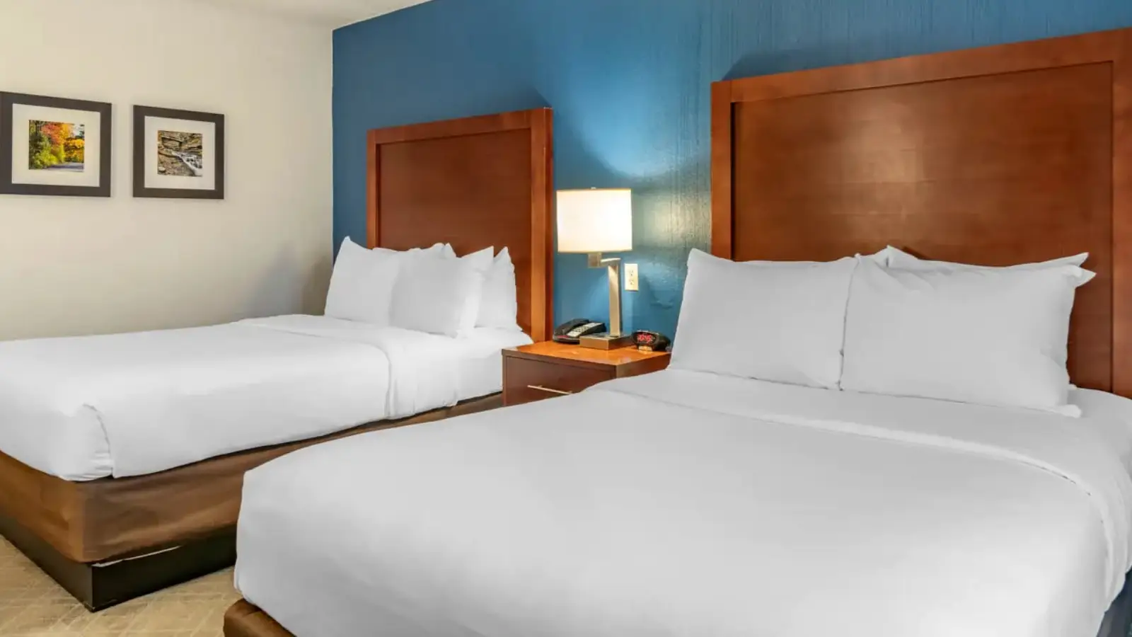 Standard Double Room Standard Double Room